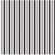 GRADY RITORTO SPECIAL