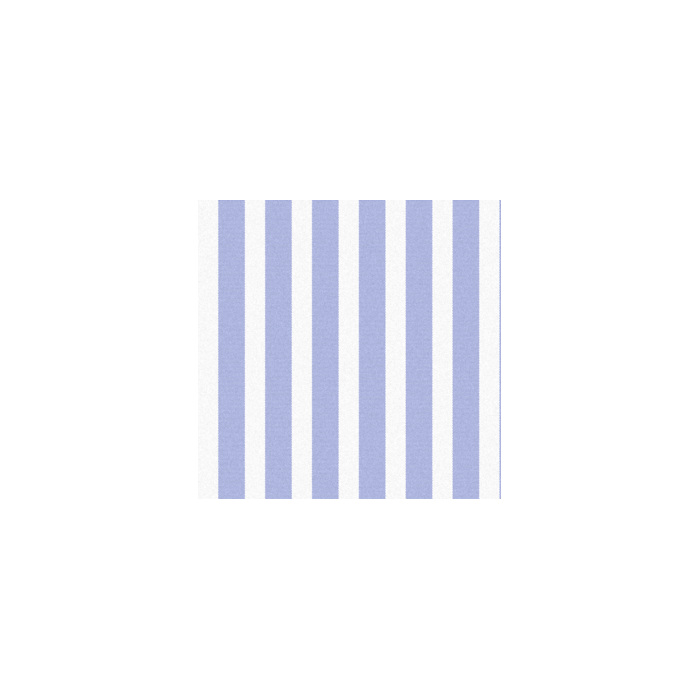 GRADY RITORTO SPECIAL