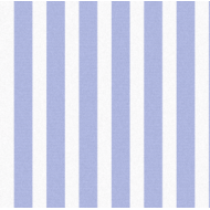 GRADY RITORTO SPECIAL