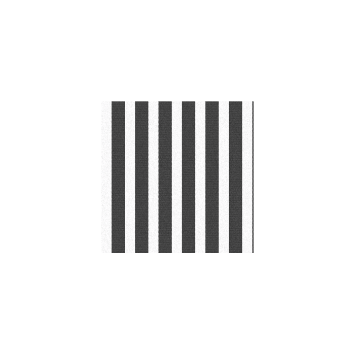 GRADY RITORTO SPECIAL