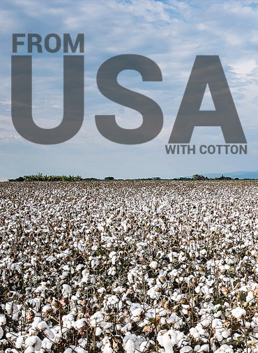 Cotton in USA