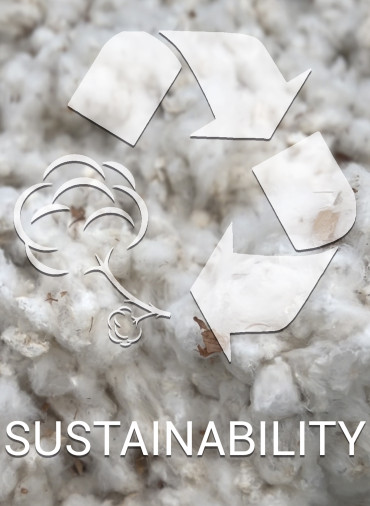 Sustainability 