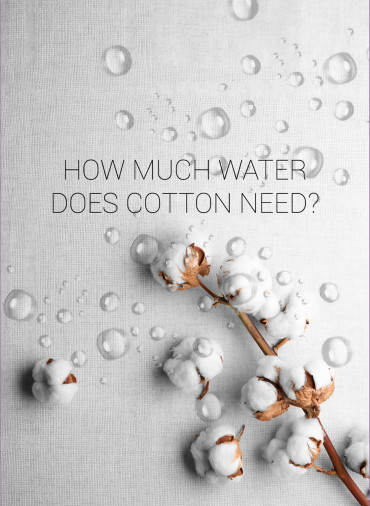How much water does cotton need?